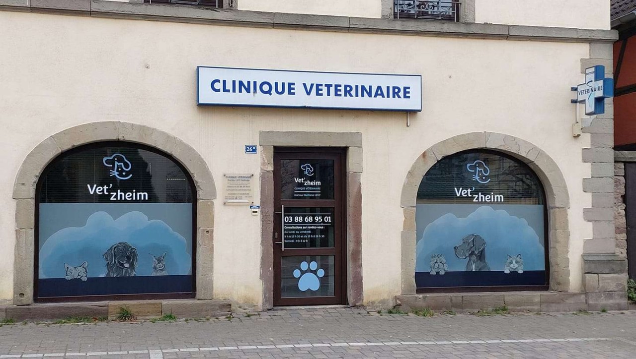 Clinique vétérinaire Vet'Zheim