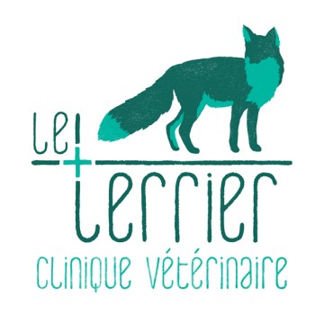 Le Terrier - Clinique Vétérinaire