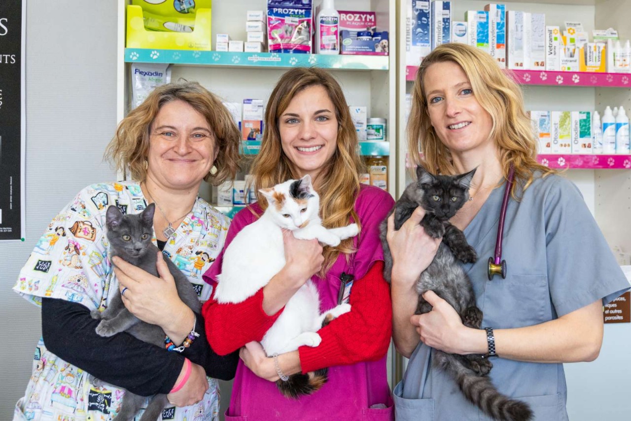 CLINIQUE VETERINAIRE DES 2 VALLEES