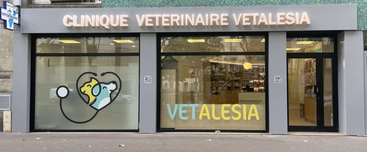 SELARL DE VETERINAIRES CLEMENT ET ASSOCIES