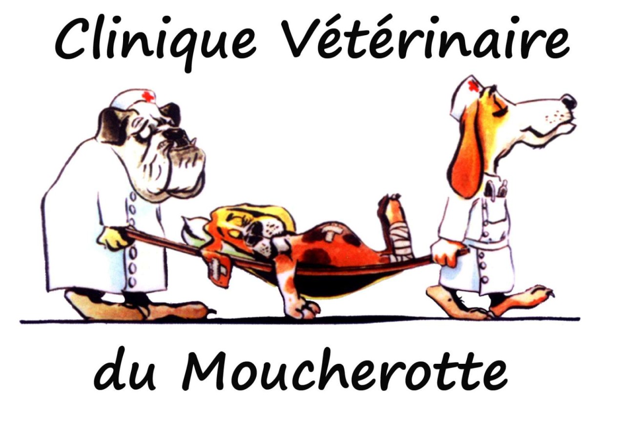 SOCIETE DU MOUCHEROTTE