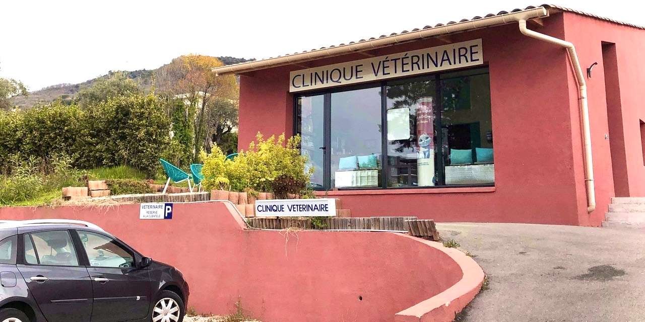 Clinique des Jasmins 