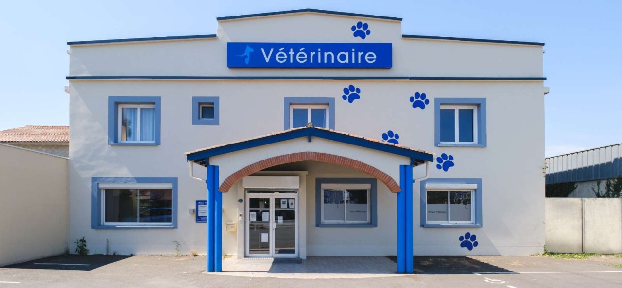 Clinique Veterinaire Du Mandarin