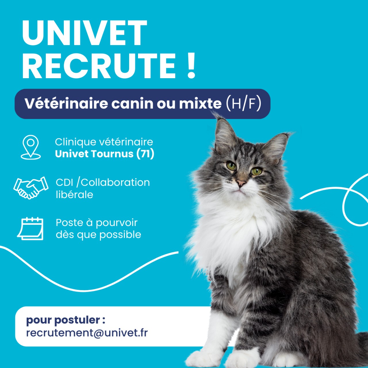 Réseau Univet