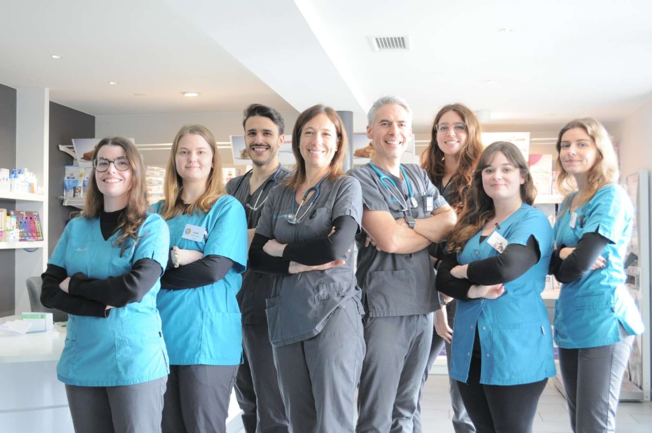 Clinique Veterinaire l'Arche de Noe