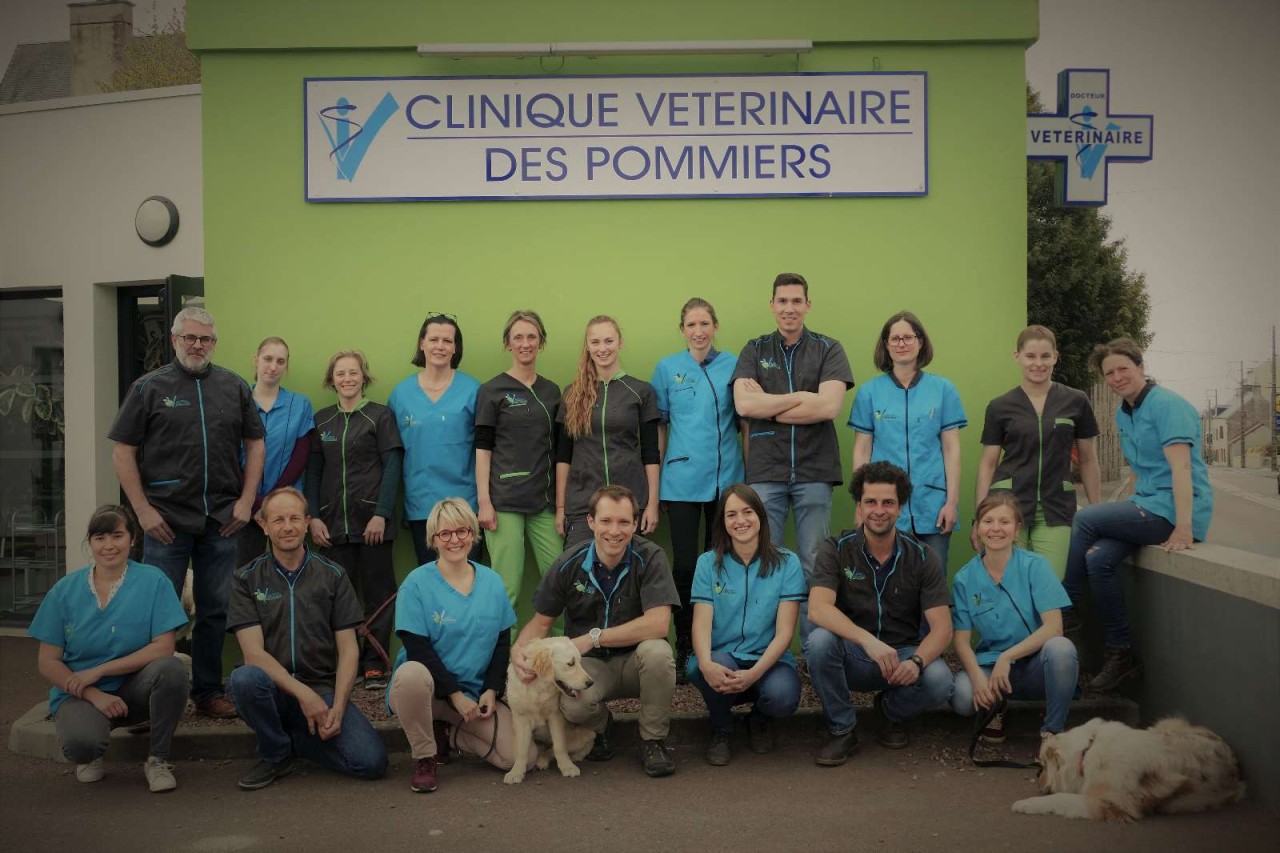 SELARL CLINIQUE VETERINAIRE DES POMMIERS