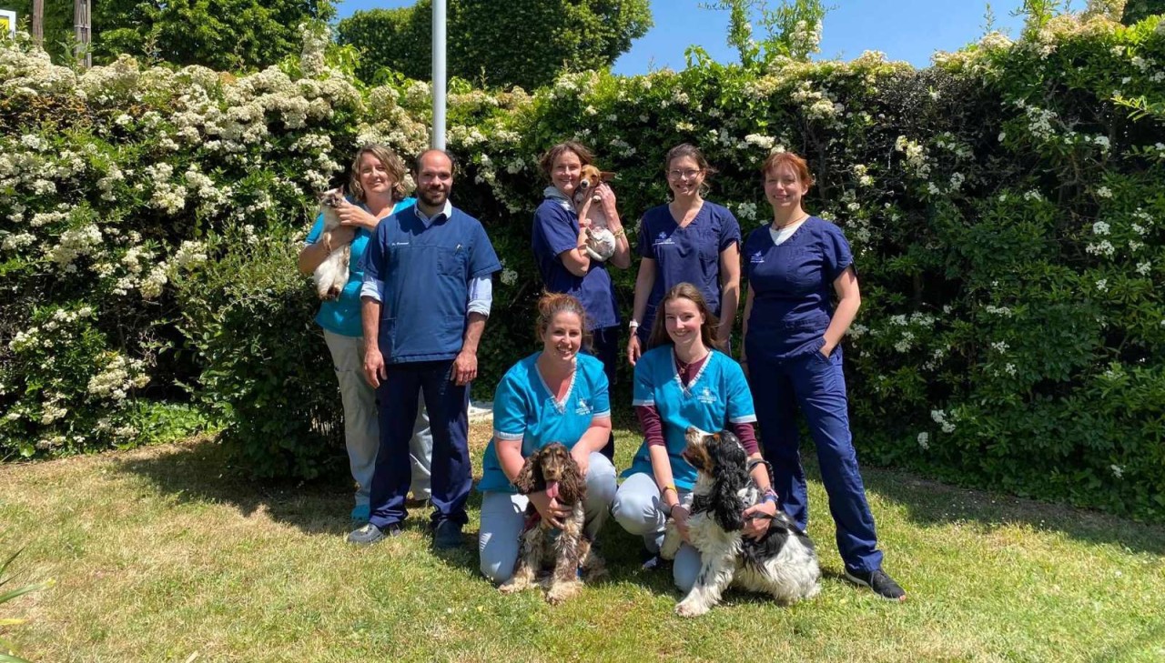 Clinique Vétérinaire Du Pays Drouais