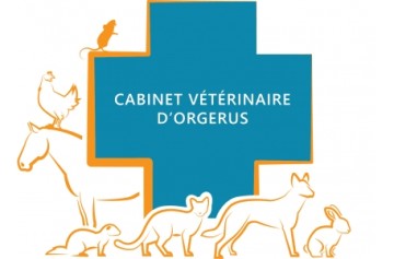 Cabinet Veterinaire D'orgerus