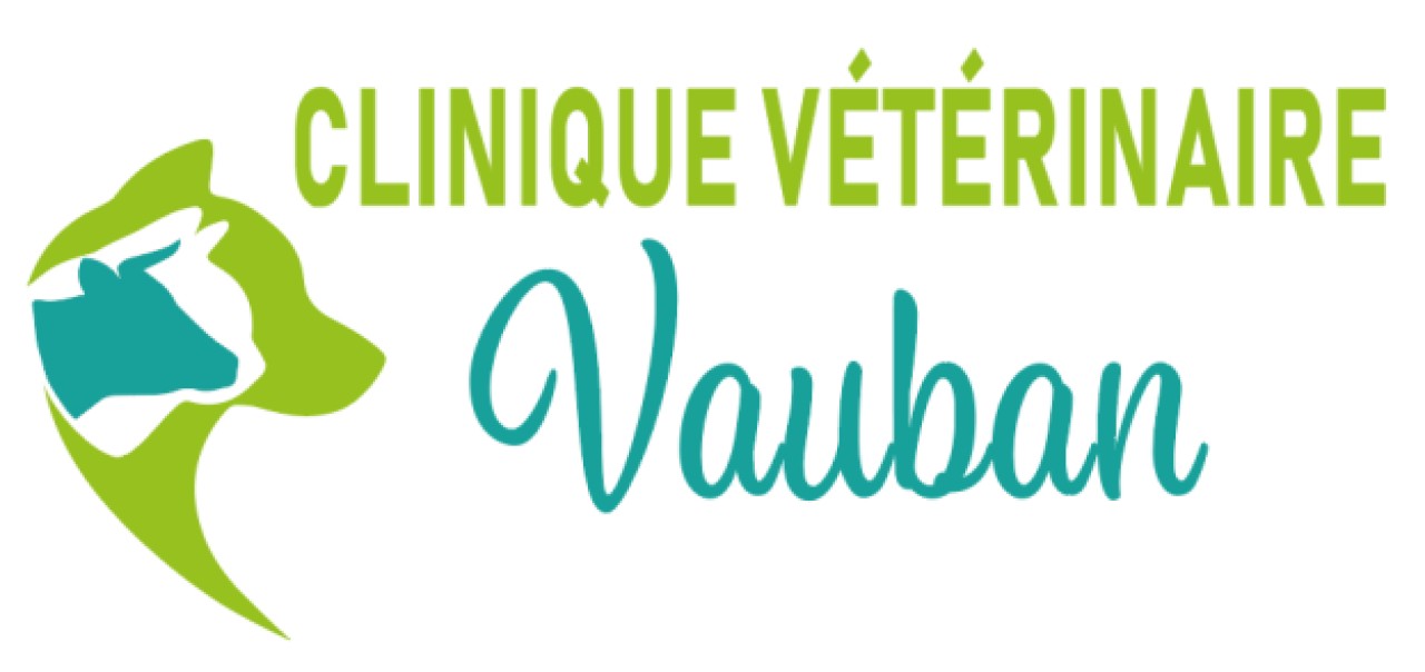 CLINIQUE VETERINAIRE VAUBAN