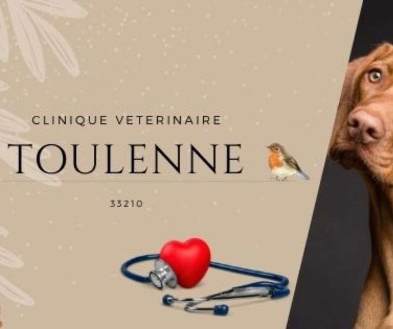 Clinique Vétérinaire de Toulenne