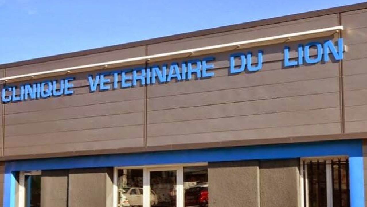 Clinique Vétérinaire du Lion