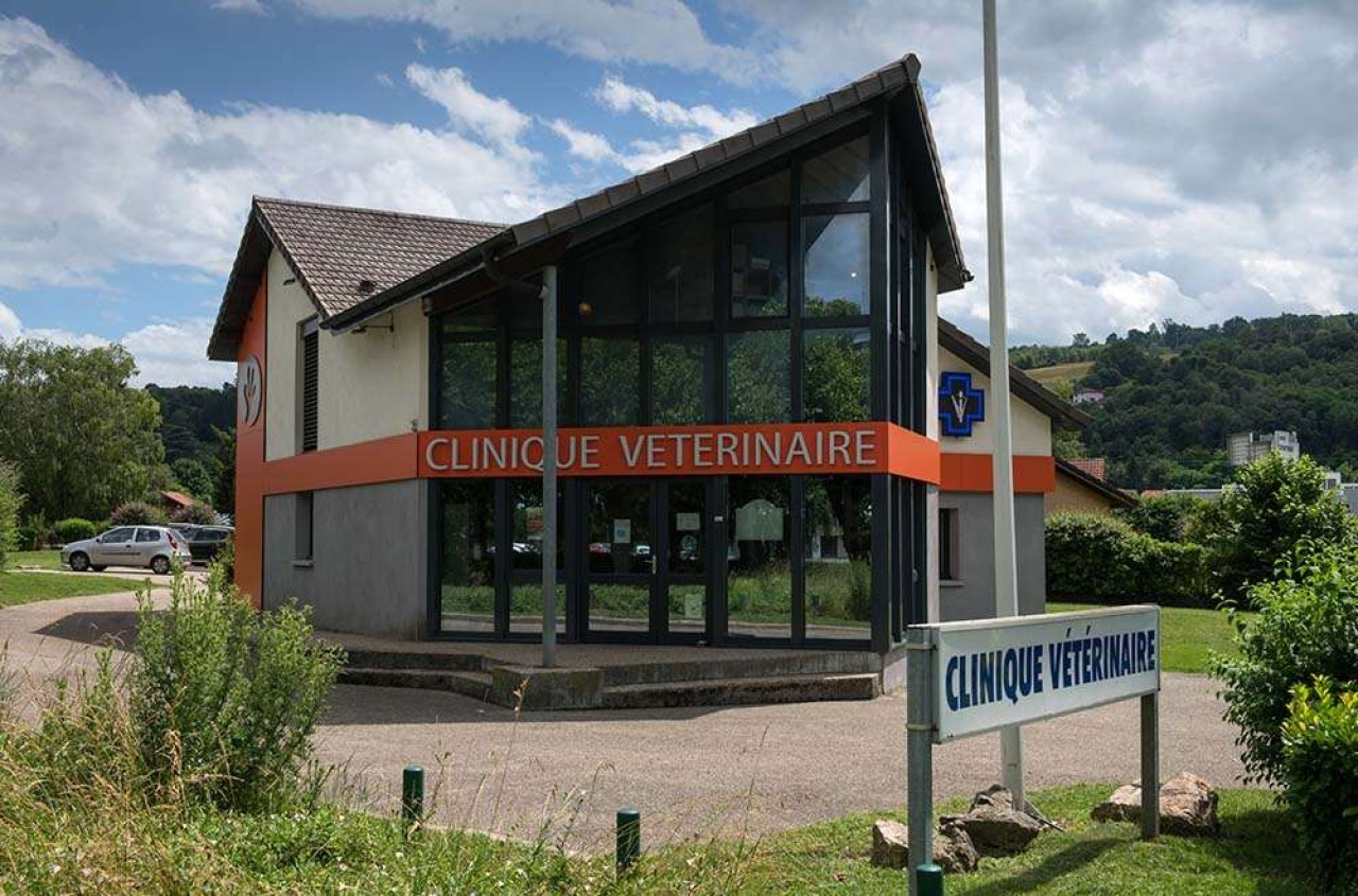 Clinique Vétérinaire de l’Oiselet