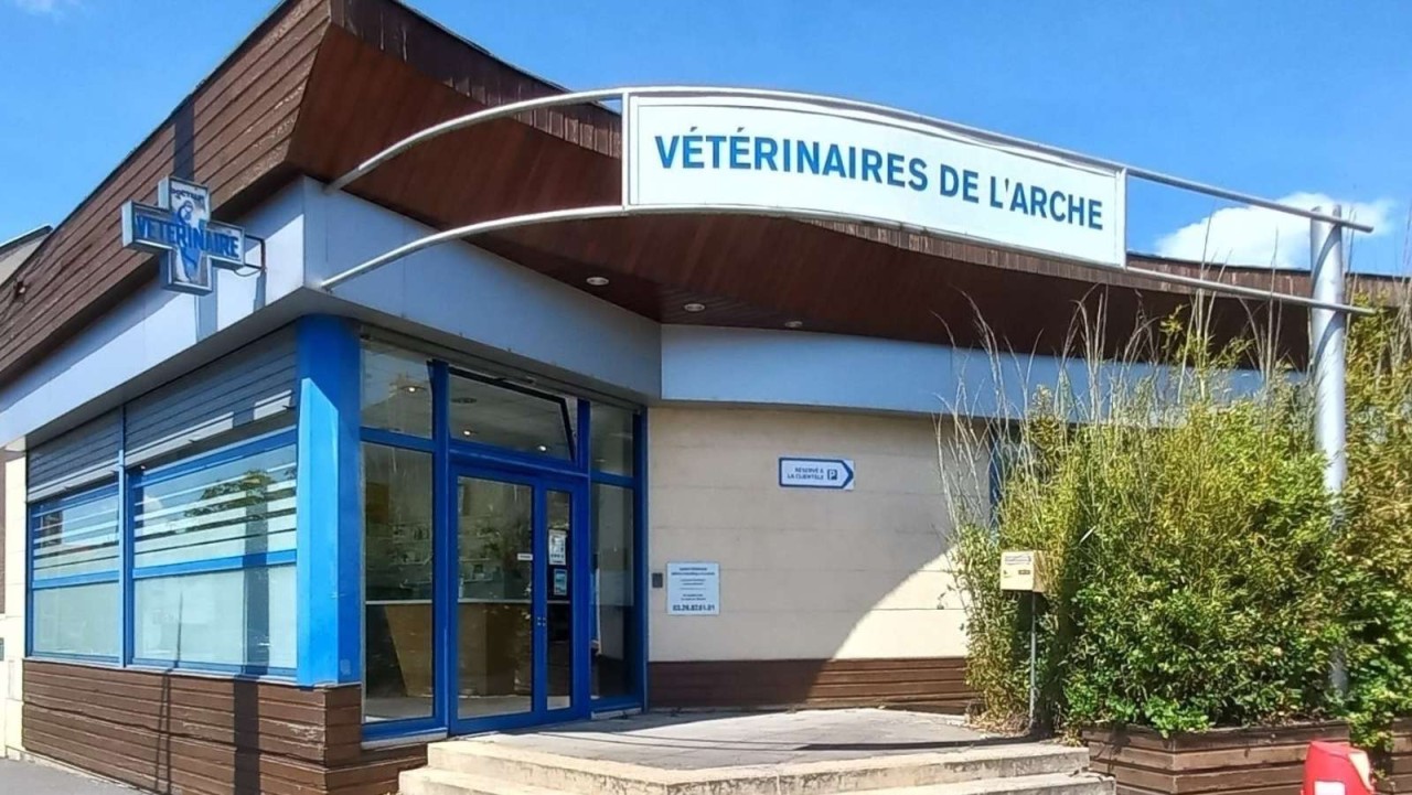 CLINIQUE VETERINAIRE DE L'ARCHE