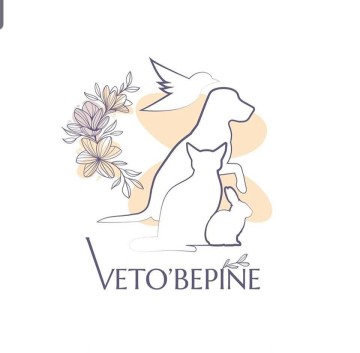 Veto'bepine 