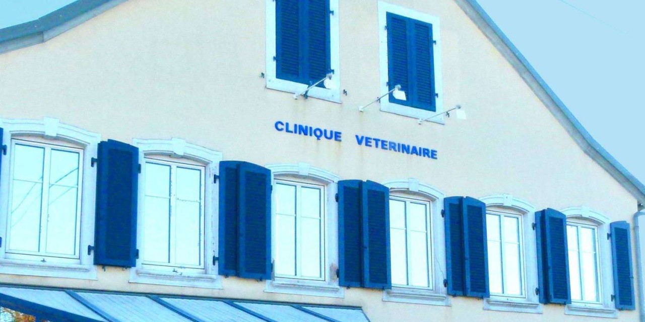 Clinique Vétérinaire Du Château Fiat