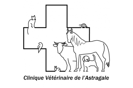 Clinique Vétérinaire De L'astragale