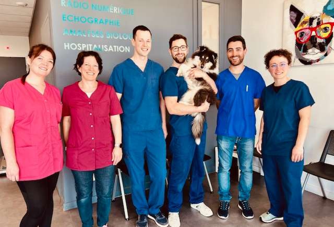 Clinique Vétérinaire Albanord