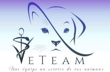 VETEAM FOURQUEUX SAINT GERMAIN