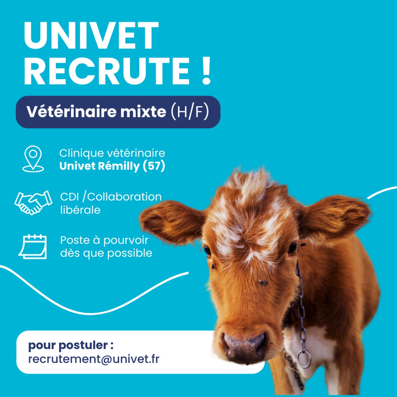 Réseau Univet