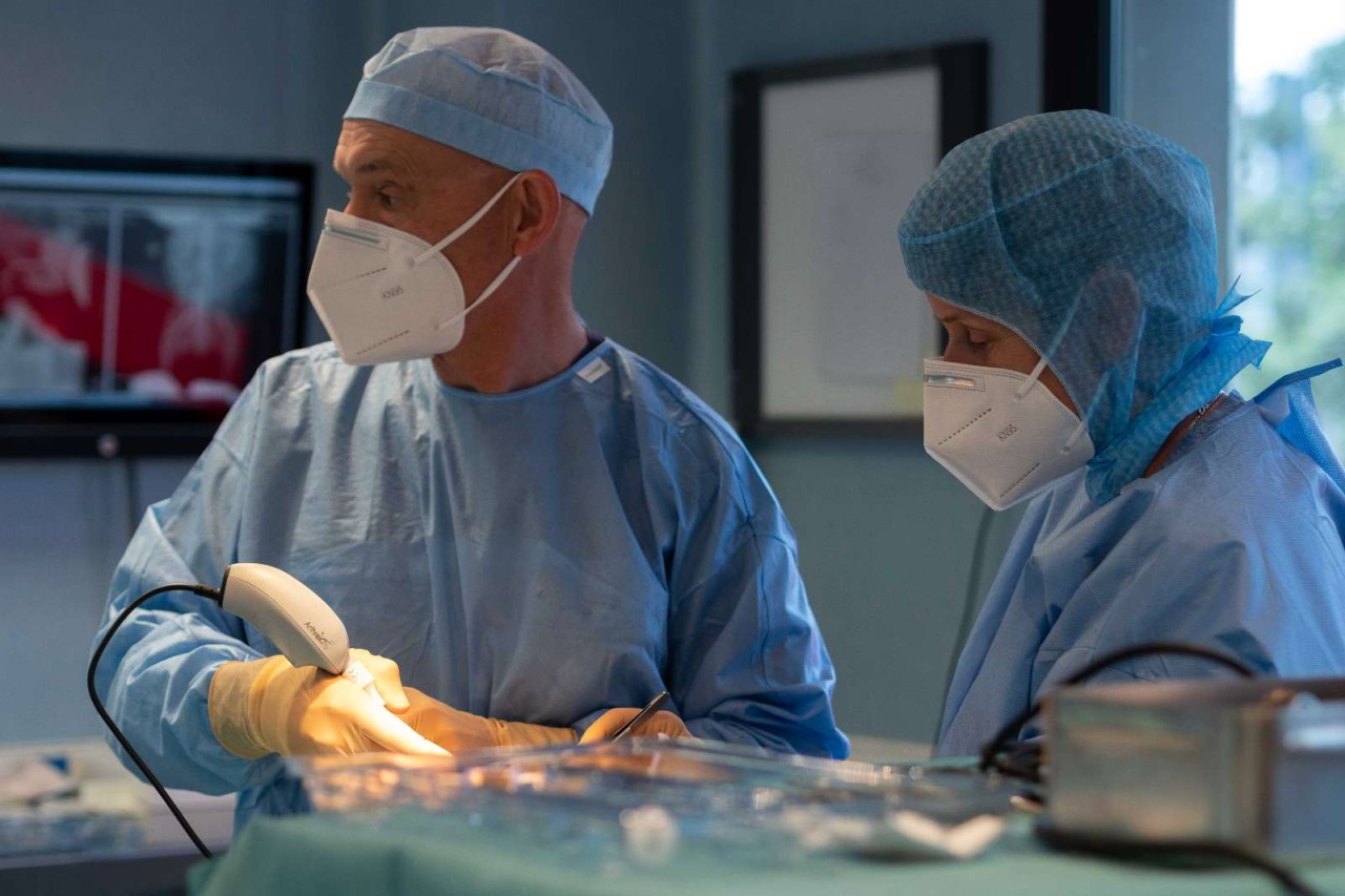 Clinique Vétérinaire de L'Europe