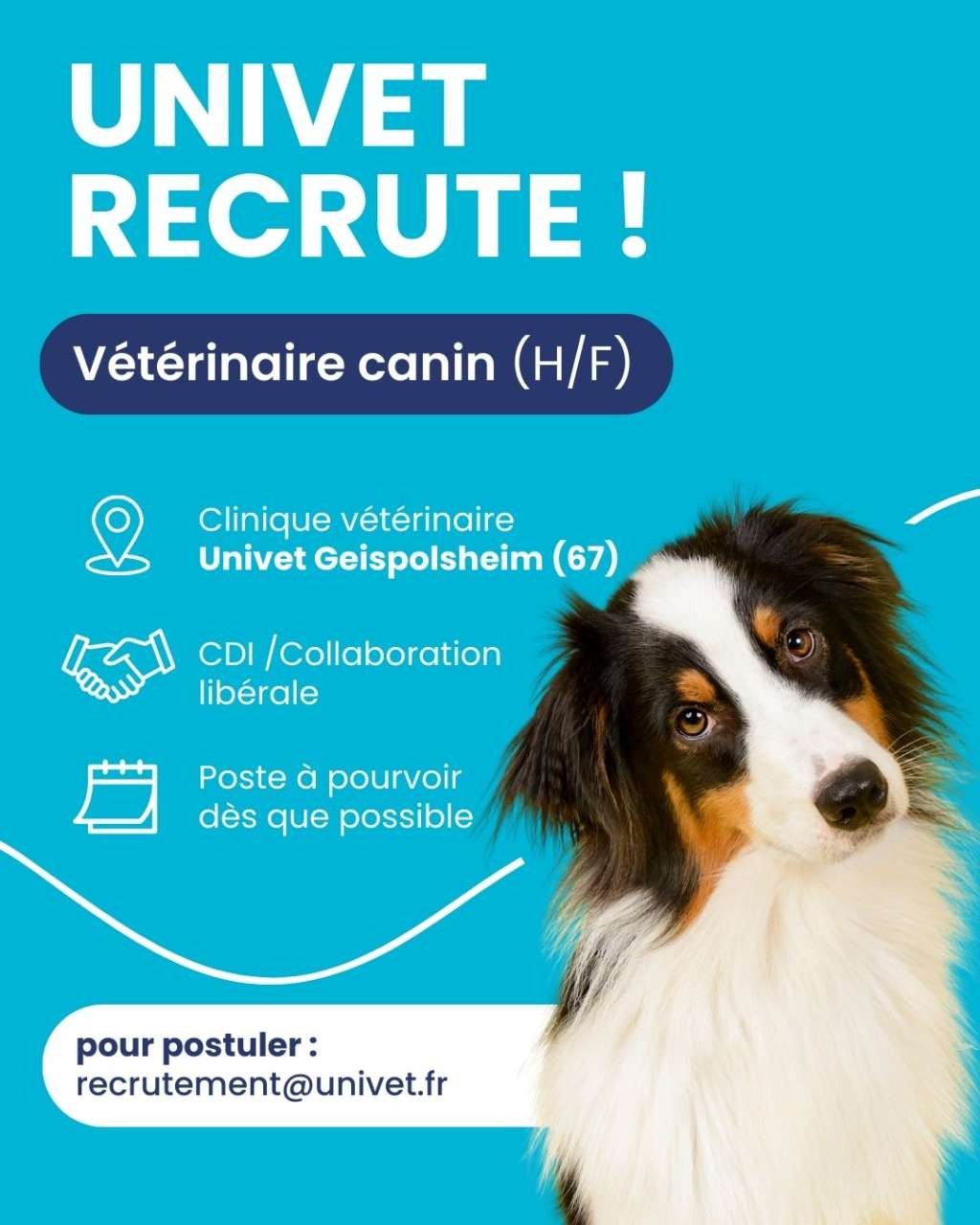 Réseau Univet