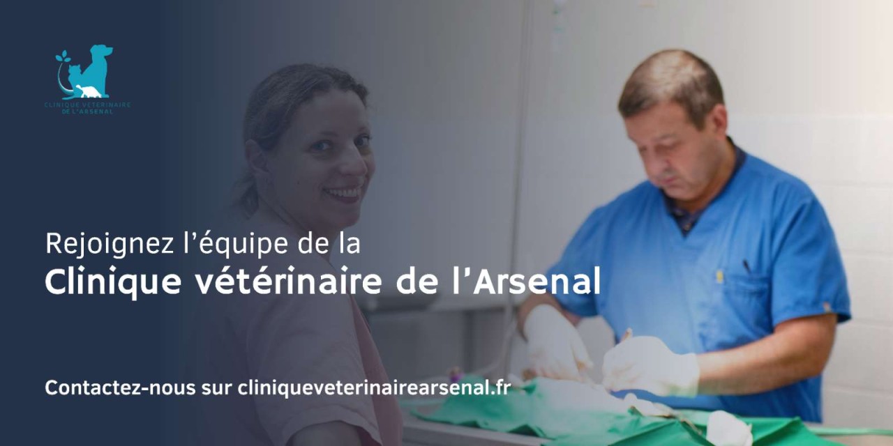 Clinique Vétérinaire De L'arsenal