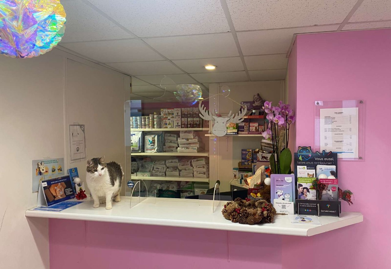 Clinique Exatys