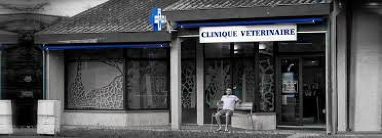 Clinique Vétérinaire des 2 Ormeaux - Velvet31