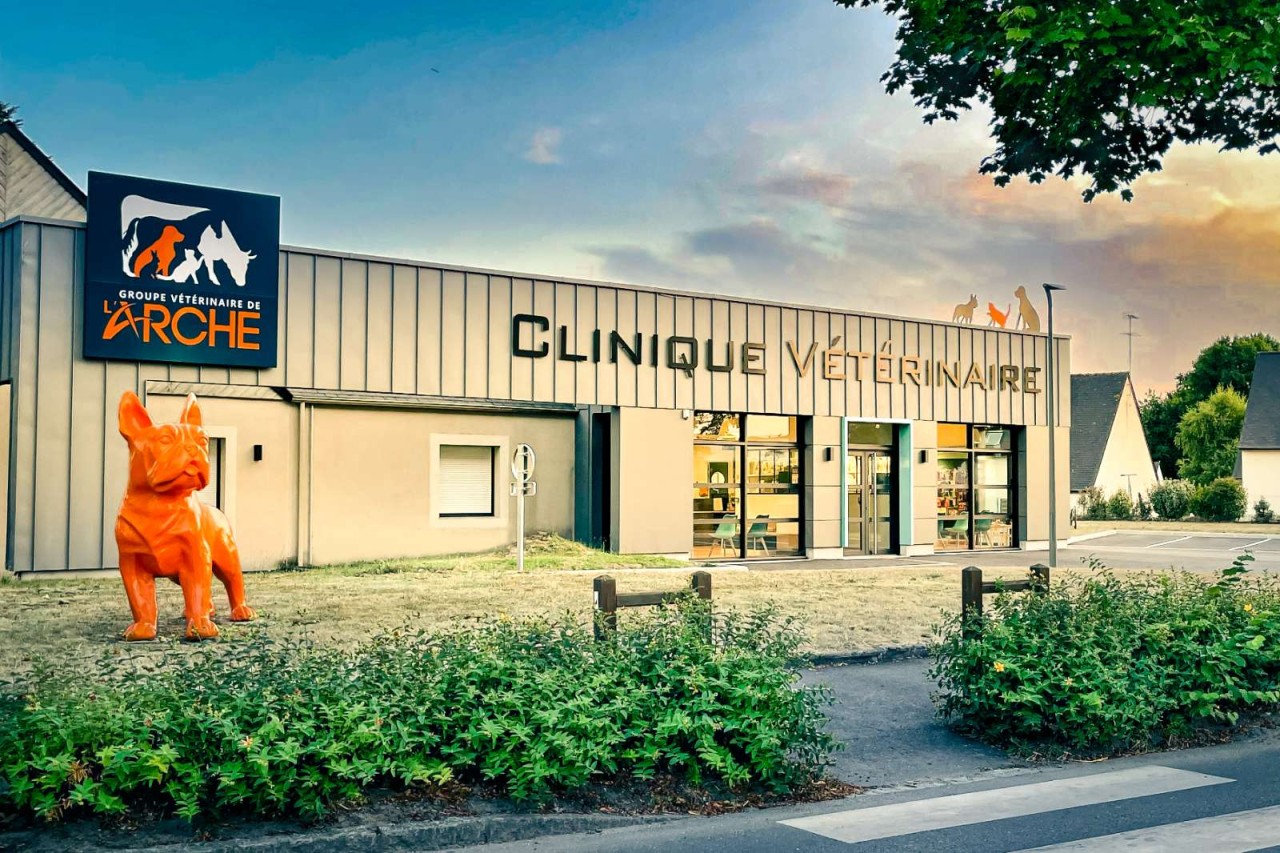 Groupe Vétérinaire de L'arche