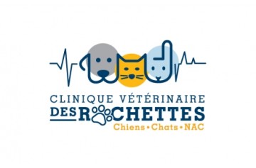 Des Rochettes