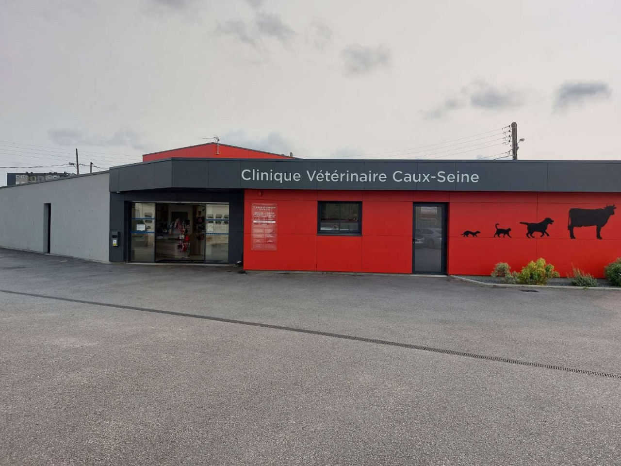 SELARL Vétérinaire Caux Seine