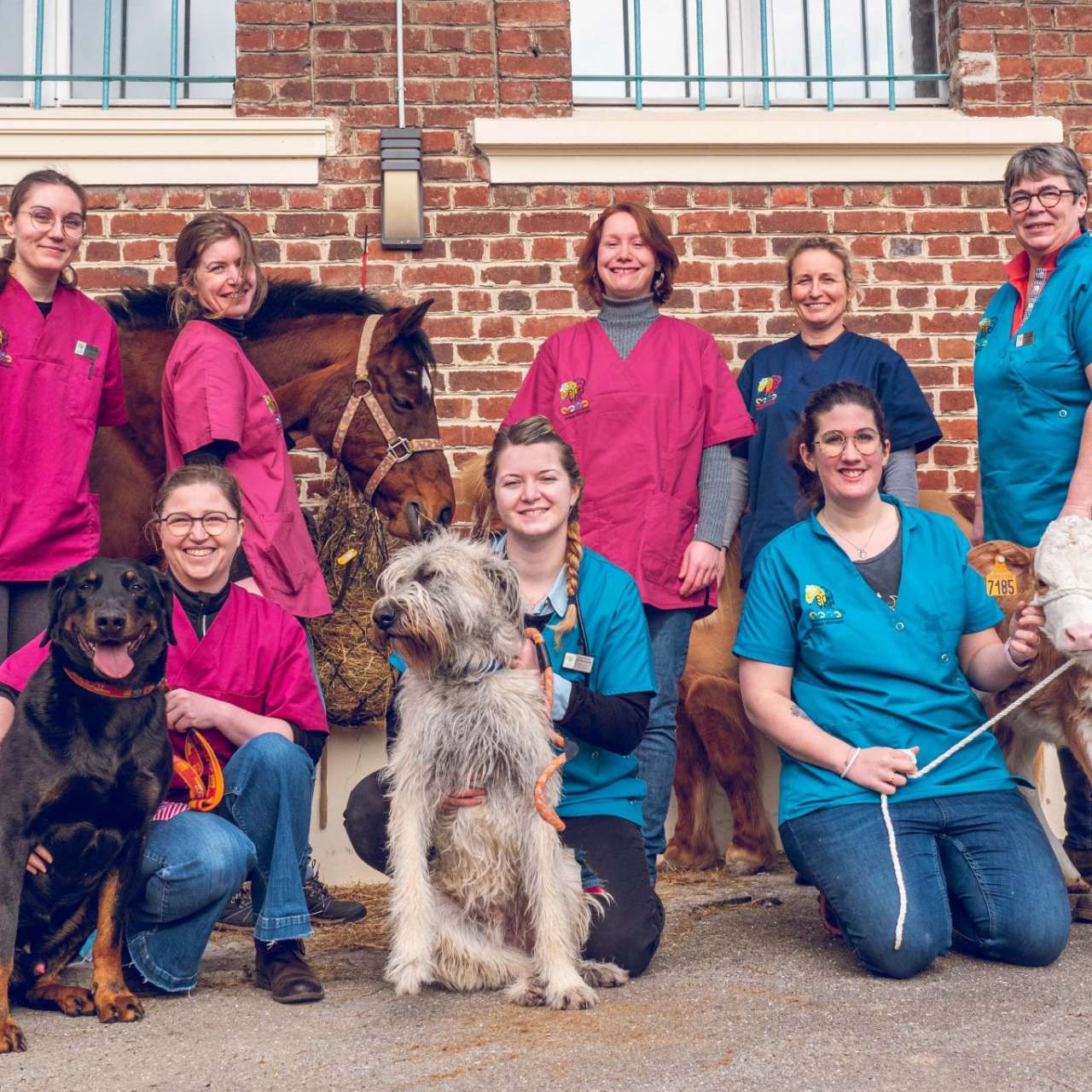 Clinique Veterinaire Epyvet