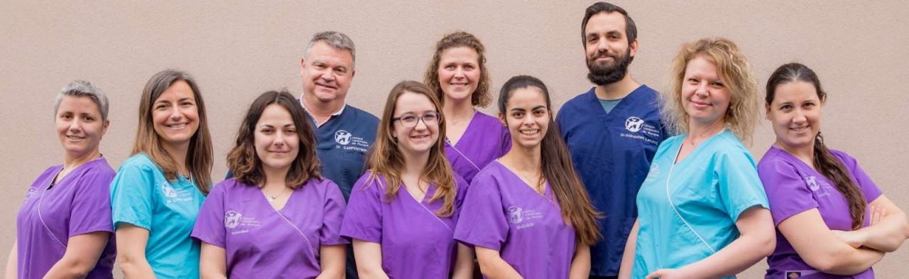 Clinique Vétérinaire de l'Europe