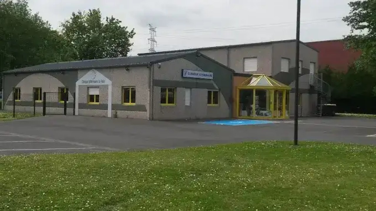 Sevetys