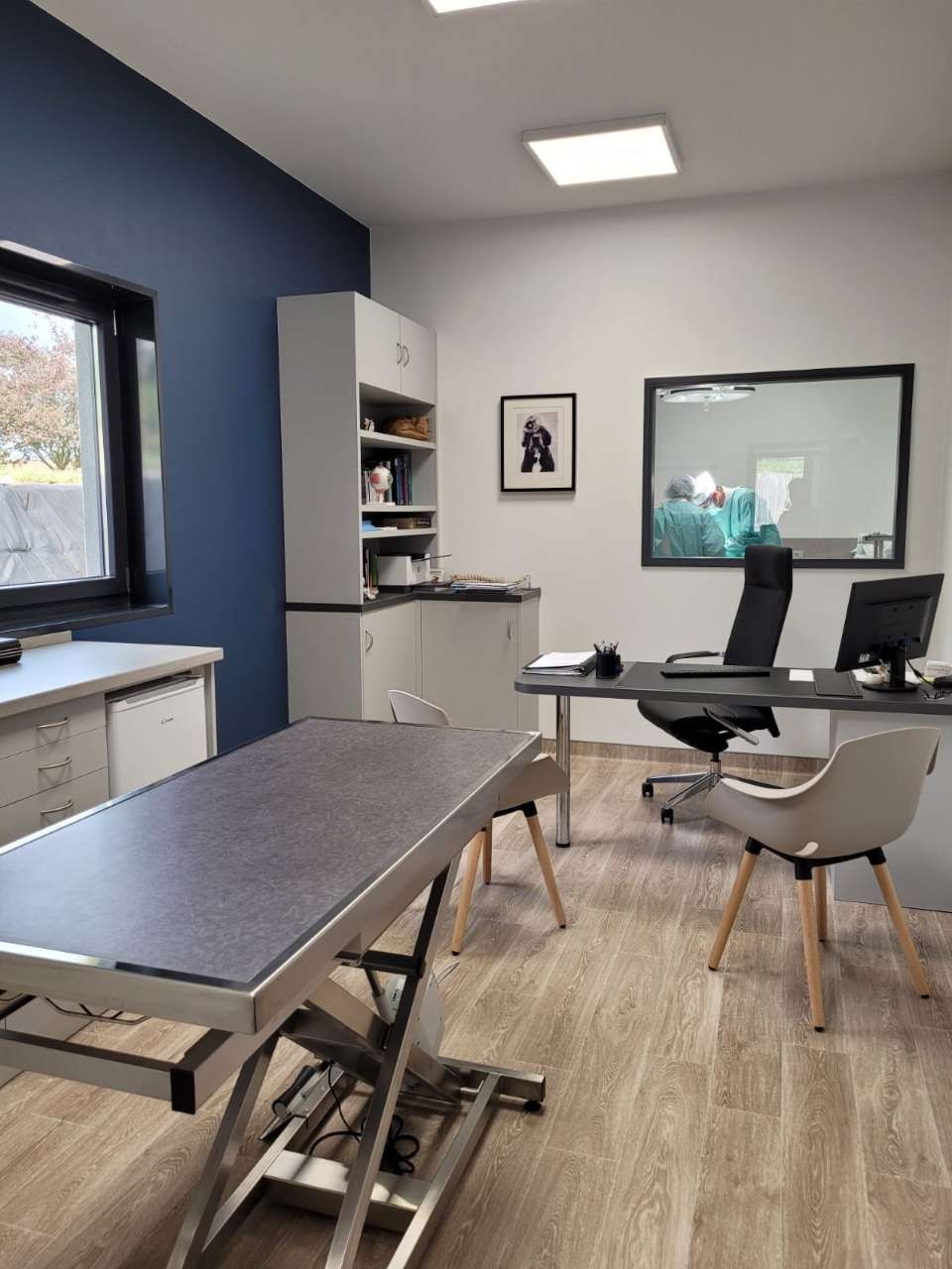Clinique Vétérinaire Excelsia