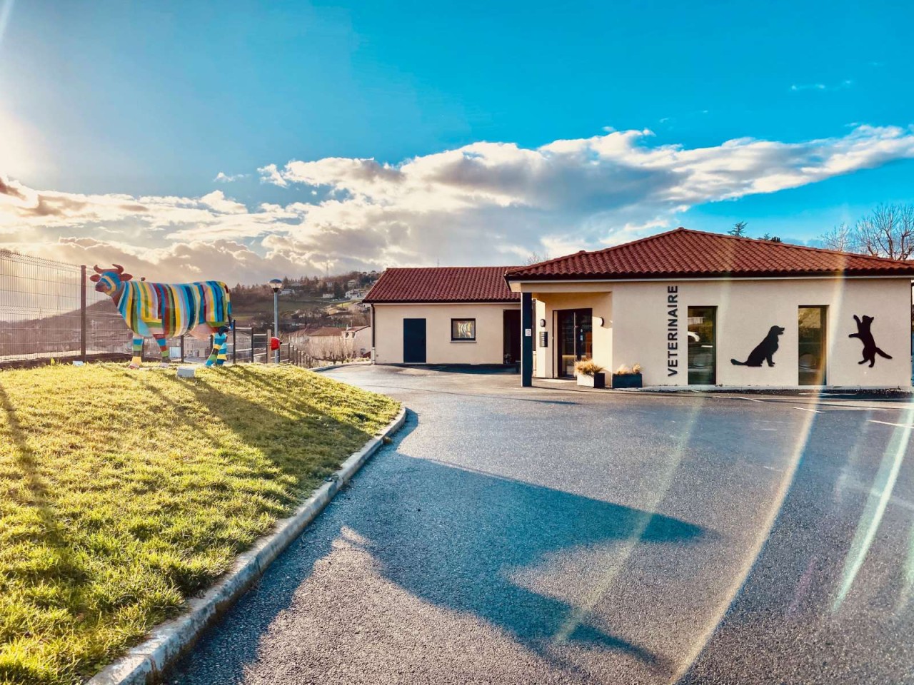 Clinique Veterinaire De La Condamine
