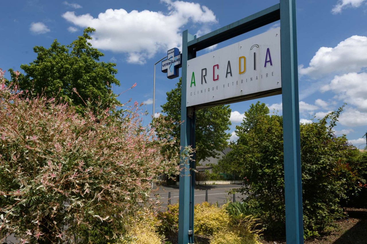 Arcadia