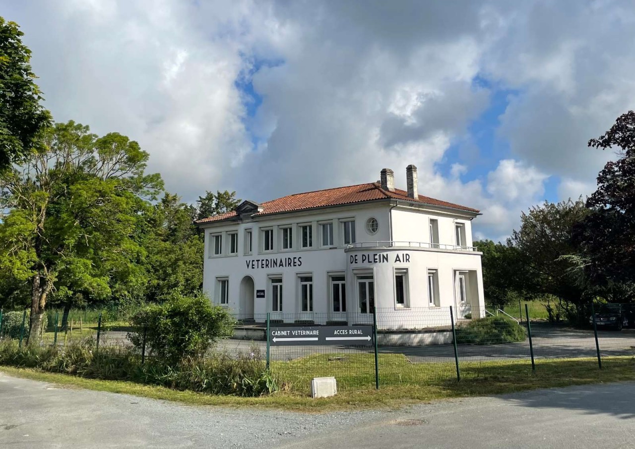 Vétérinaires De Plein Air