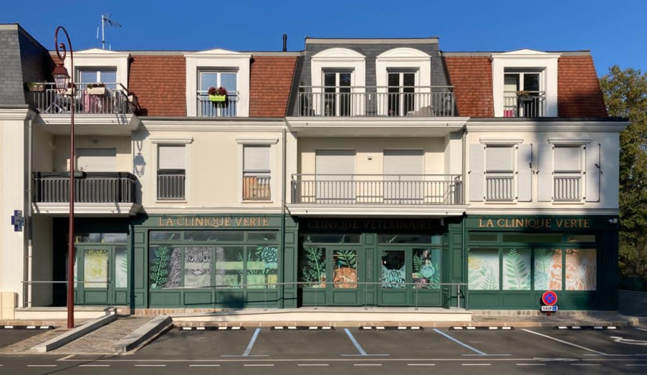 Les Cliniques Bleue Et Verte
