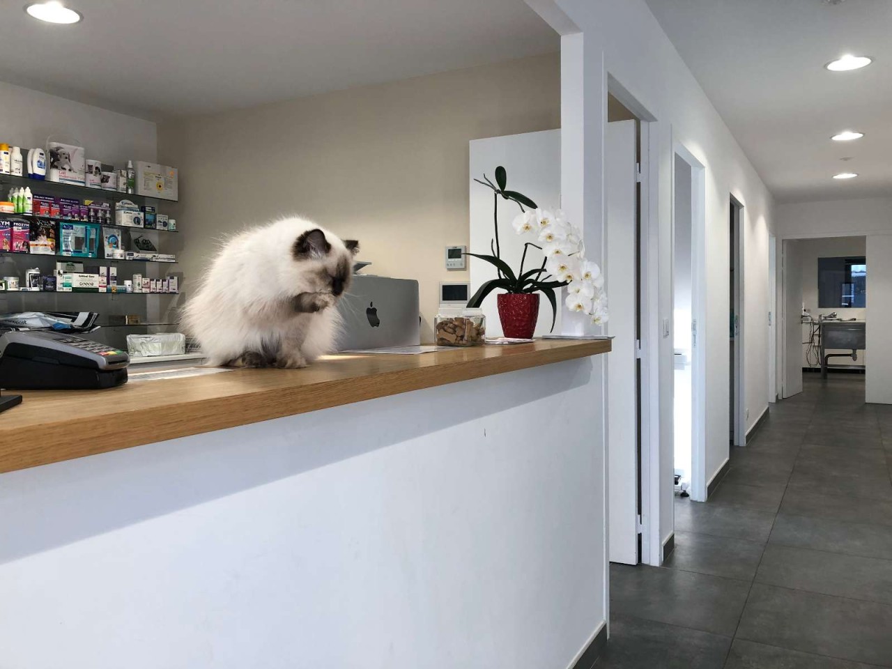 Clinique Vétérinaire Aixiancevet