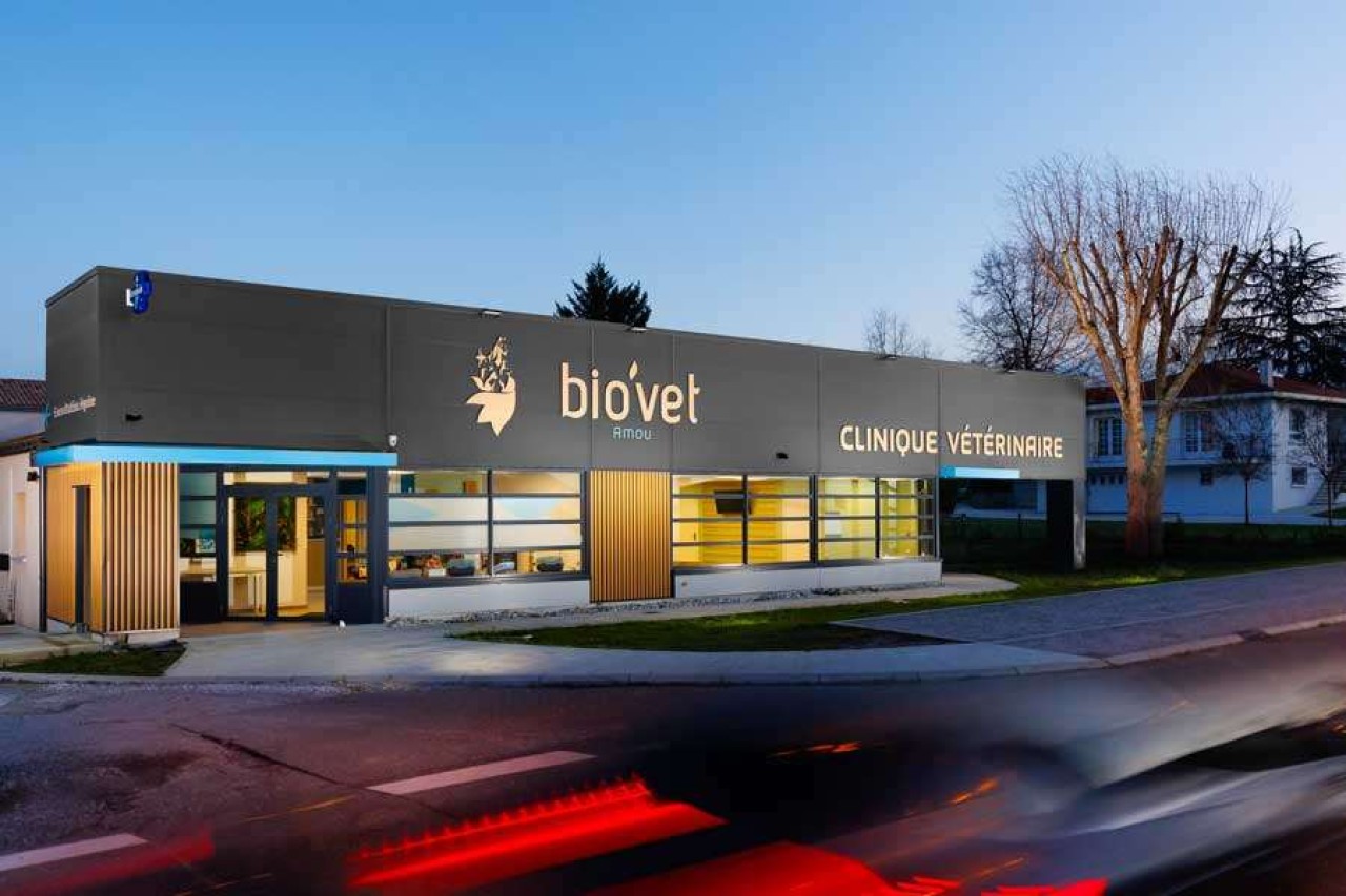 Clinique bio'vet Amou