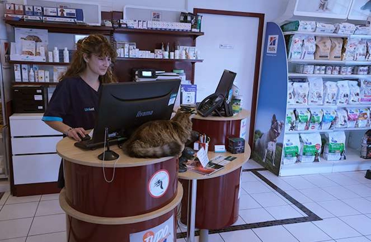 Réseau Univet