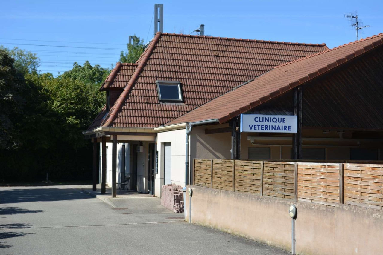 Sel Du Matterberg
