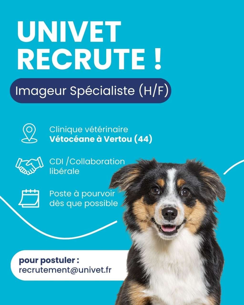Réseau Univet