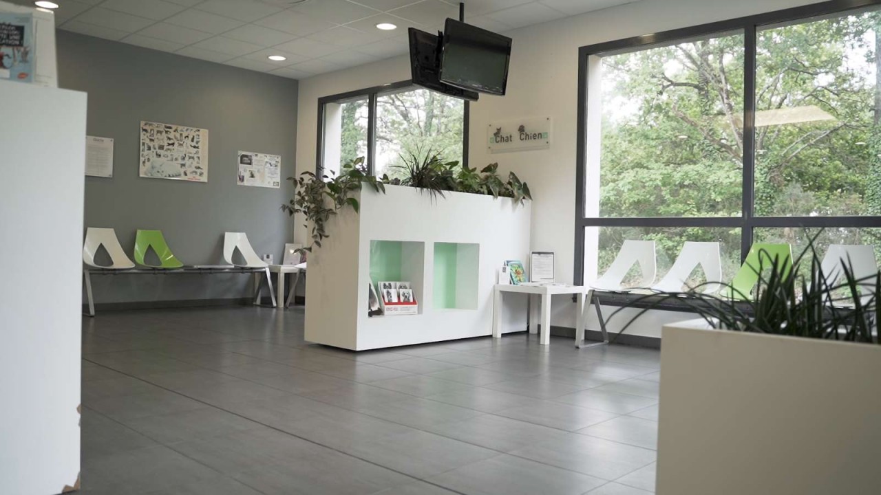 Clinique Vétérinaire Du Golfe