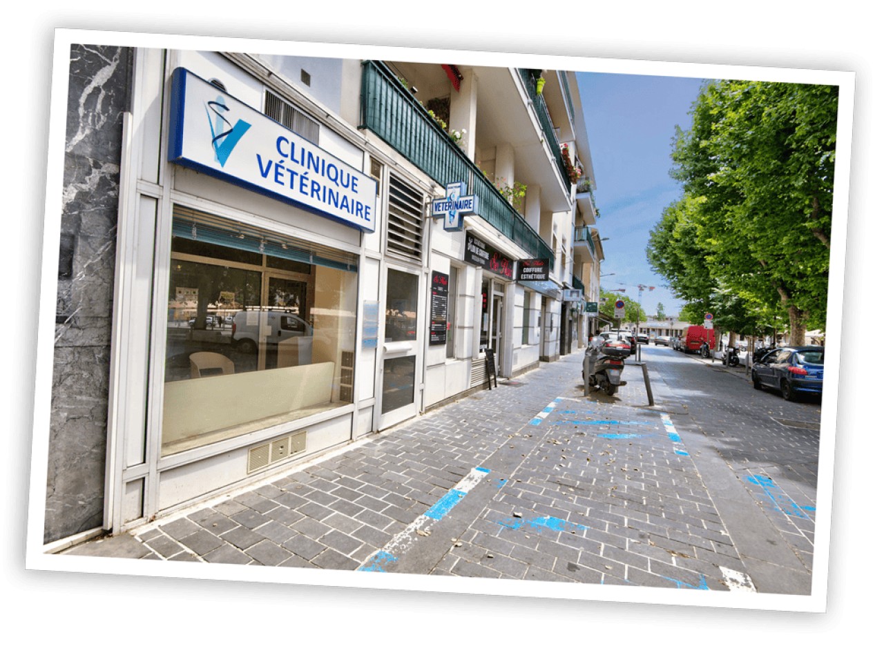 Clinique Vétérinaire