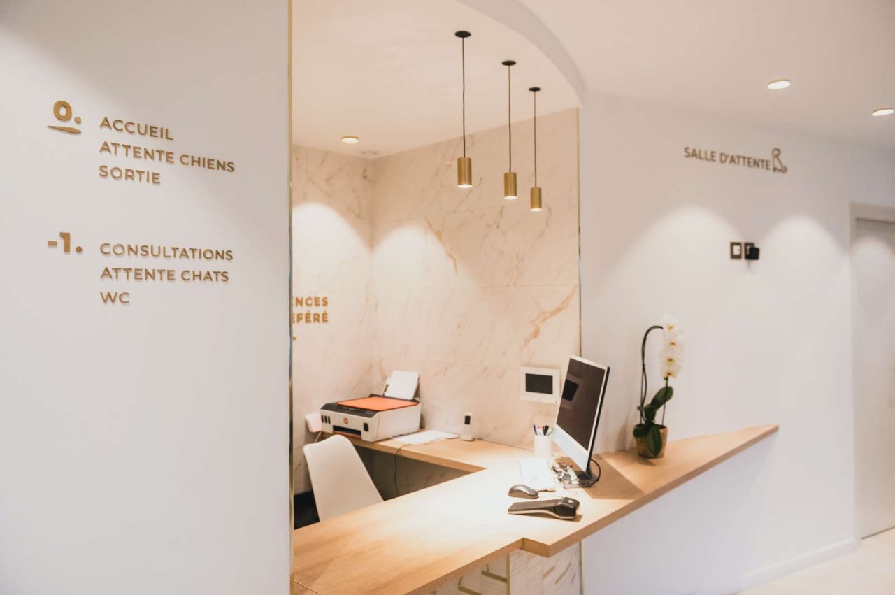 MAISONS DES URGENCES VETERINAIRES 