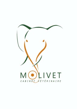 Molivet