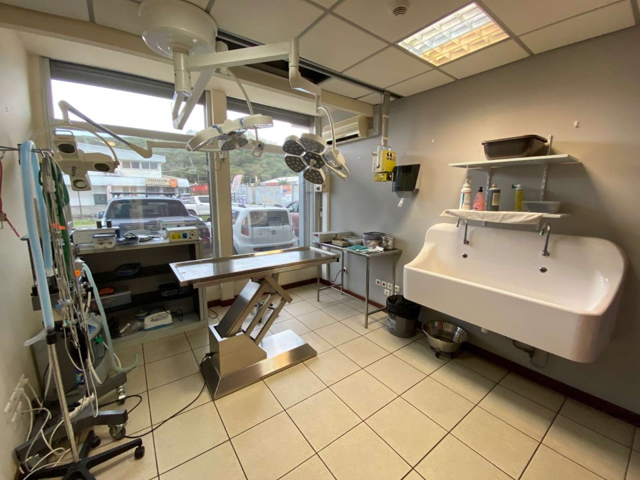 Clinique Veterinaire De L'hippocampe