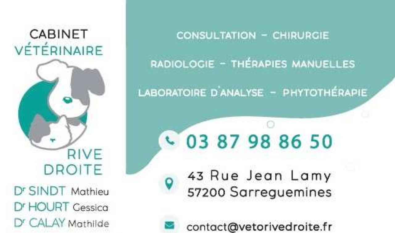 cabinet vétérinaire Rive Droite